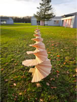 Mobilier personnalisé, Décoration, menuiserie, sapin